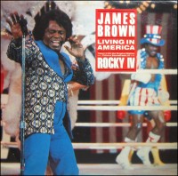 1985 Scotti Brothers 45 Living in America The James Brown SuperFan Club